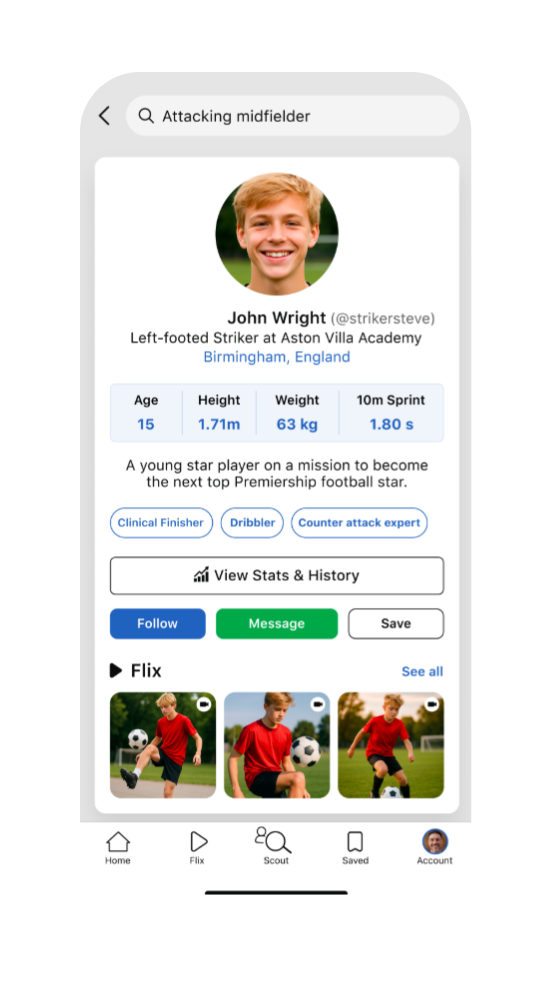 Player profile